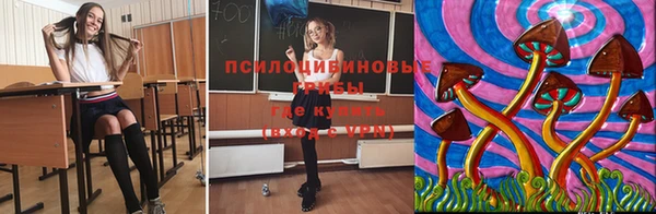 apvp Баксан