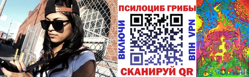 Галлюциногенные грибы Magic Shrooms где купить наркоту Семикаракорск